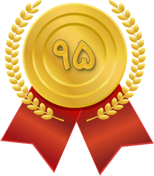 medal 95